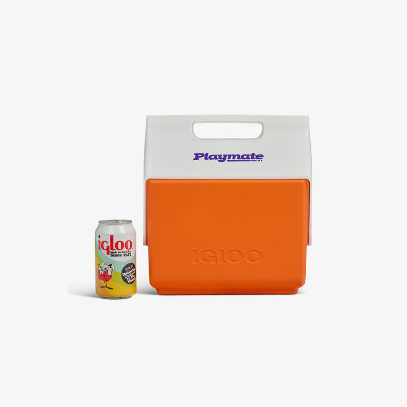 Retro Little Playmate 7 Qt Cooler - Psychedelic Daisy