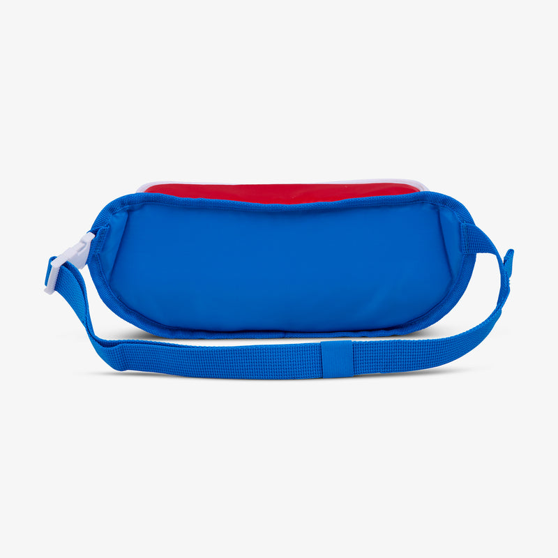 Retro Fanny Pack - Psychedelic Daisy