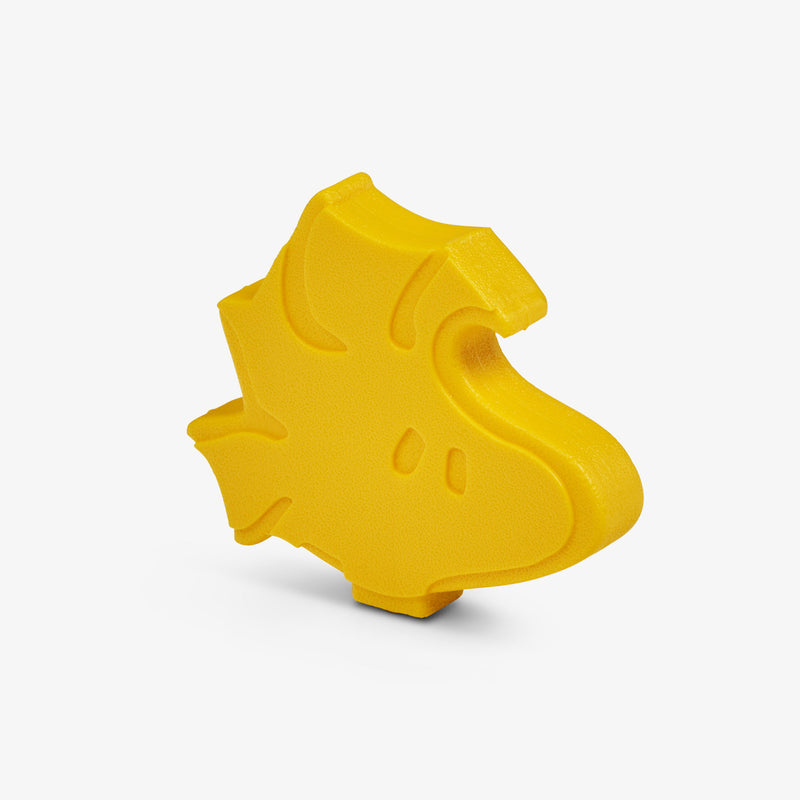 Woodstock Ice Block 2-Pack