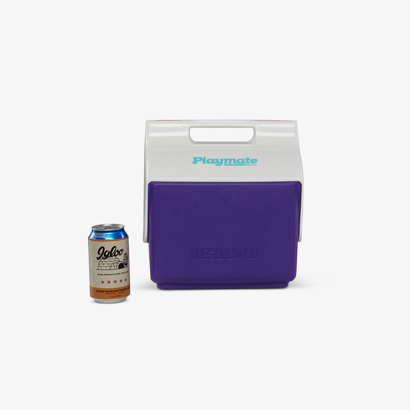 Retro Little Playmate 7 Qt Cooler - Psychedelic Daisy
