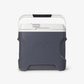 Versatemp™ 28 Qt Portable Electric Cooler