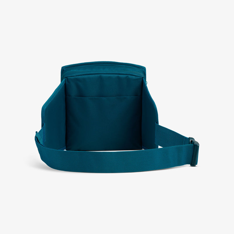 NFL WWE Cooler Fanny Pack - Seahawks