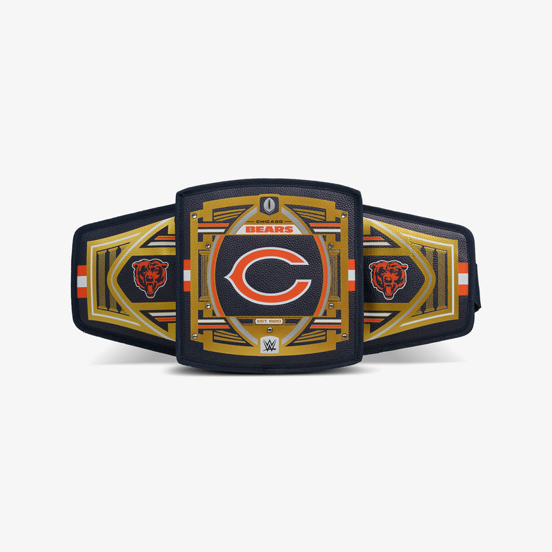 NFL WWE Cooler Fanny Pack - Seahawks